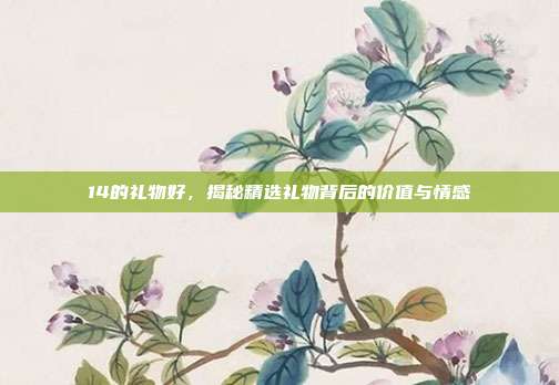 14的礼物好，揭秘精选礼物背后的价值与情感