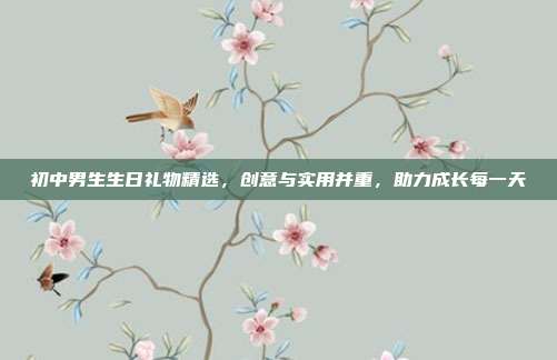 初中男生生日礼物精选，创意与实用并重，助力成长每一天