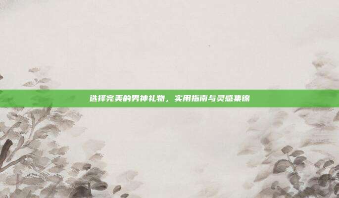选择完美的男神礼物，实用指南与灵感集锦