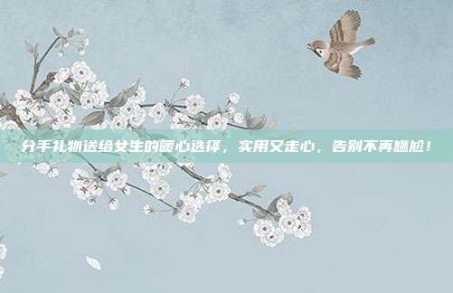 分手礼物送给女生的暖心选择，实用又走心，告别不再尴尬！