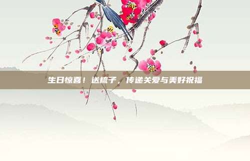 生日惊喜！送梳子，传递关爱与美好祝福