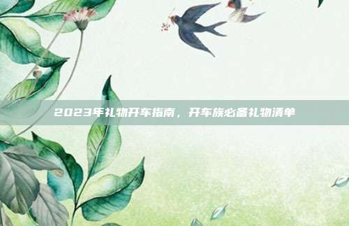 2023年礼物开车指南，开车族必备礼物清单