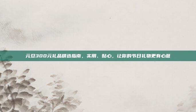 元旦300元礼品精选指南，实用、贴心，让你的节日礼物更有心意
