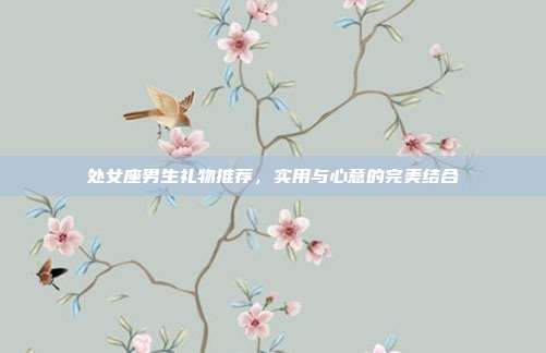 处女座男生礼物推荐，实用与心意的完美结合