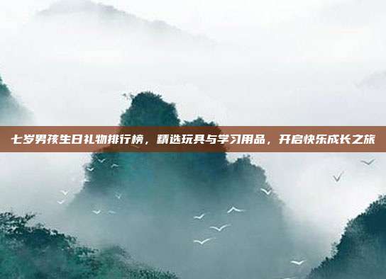 七岁男孩生日礼物排行榜，精选玩具与学习用品，开启快乐成长之旅