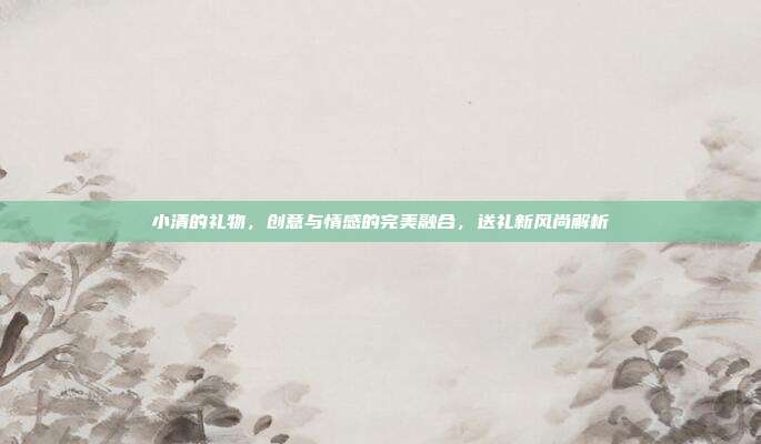 小清的礼物，创意与情感的完美融合，送礼新风尚解析