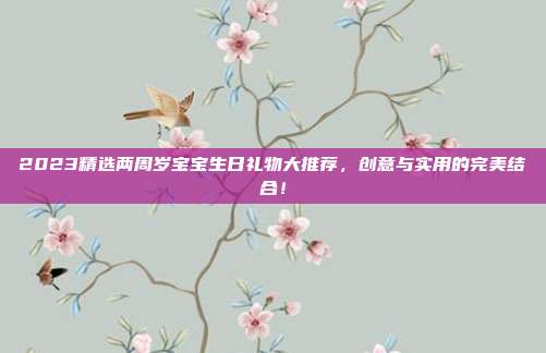 2023精选两周岁宝宝生日礼物大推荐，创意与实用的完美结合！