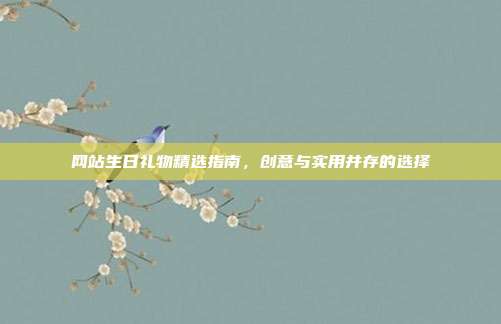 网站生日礼物精选指南，创意与实用并存的选择