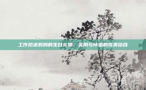工作后送妈妈的生日礼物，实用与情感的完美结合