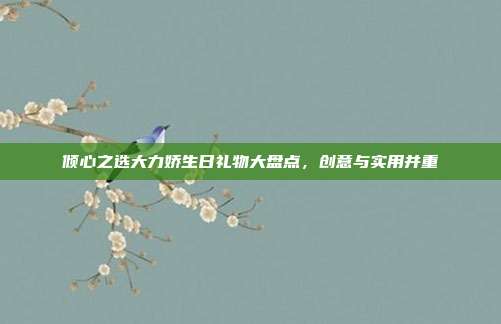 倾心之选大力娇生日礼物大盘点，创意与实用并重
