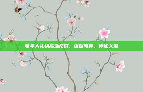老年人礼物挑选指南，温馨陪伴，传递关爱