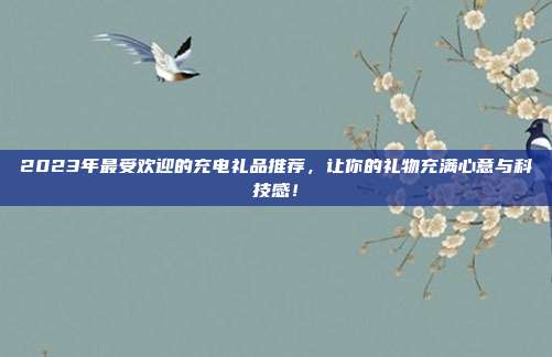 2023年最受欢迎的充电礼品推荐，让你的礼物充满心意与科技感！