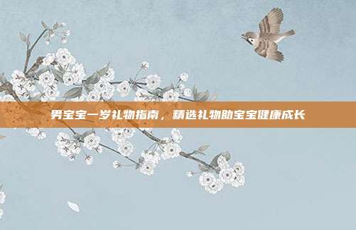 男宝宝一岁礼物指南，精选礼物助宝宝健康成长