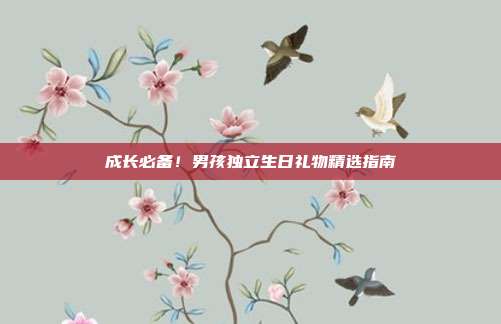 成长必备！男孩独立生日礼物精选指南