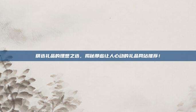 精选礼品的理想之选，揭秘那些让人心动的礼品网站推荐！