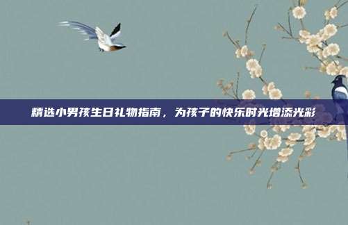 精选小男孩生日礼物指南，为孩子的快乐时光增添光彩