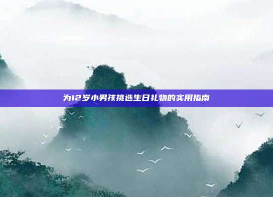为12岁小男孩挑选生日礼物的实用指南