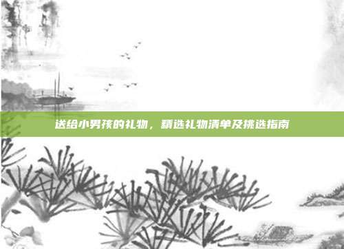 送给小男孩的礼物，精选礼物清单及挑选指南
