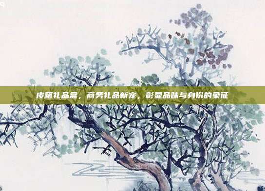皮箱礼品盒，商务礼品新宠，彰显品味与身份的象征