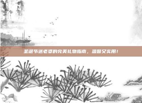 圣诞节送老婆的完美礼物指南，温馨又实用！