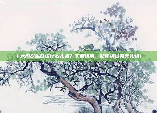 十六周岁生日送什么礼品？实用指南，助你挑选完美礼物！