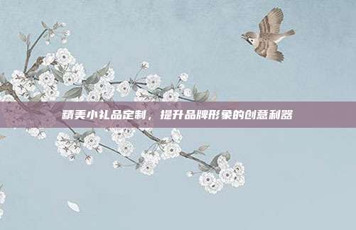 精美小礼品定制，提升品牌形象的创意利器