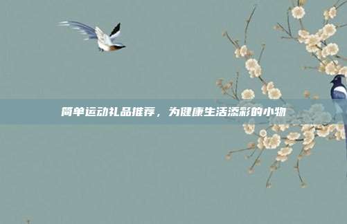 简单运动礼品推荐，为健康生活添彩的小物