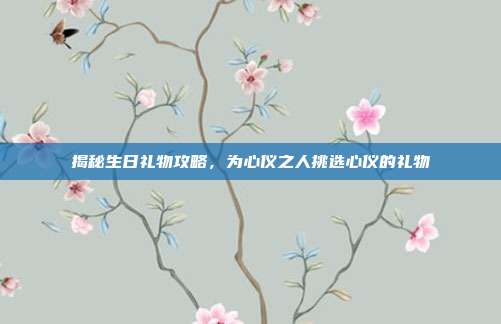 揭秘生日礼物攻略，为心仪之人挑选心仪的礼物