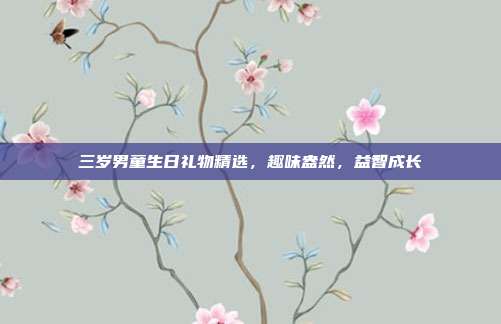 三岁男童生日礼物精选，趣味盎然，益智成长