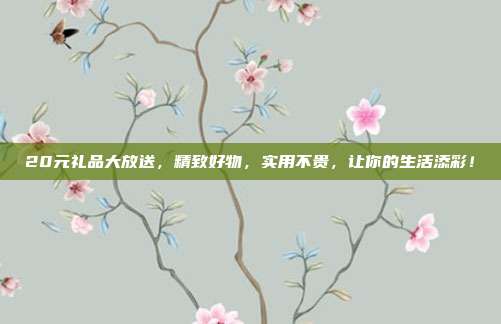 20元礼品大放送，精致好物，实用不贵，让你的生活添彩！