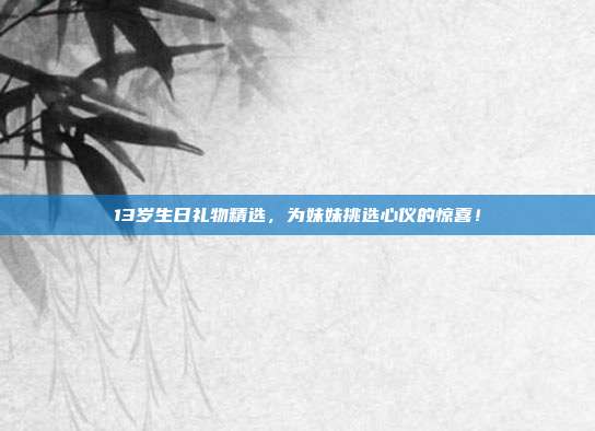 13岁生日礼物精选，为妹妹挑选心仪的惊喜！