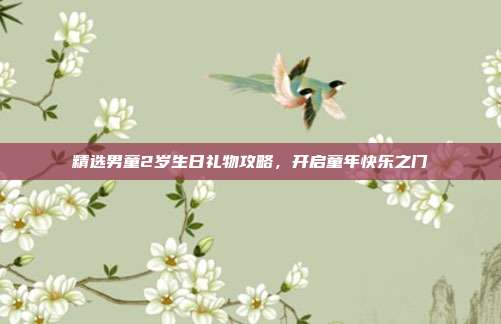 精选男童2岁生日礼物攻略，开启童年快乐之门