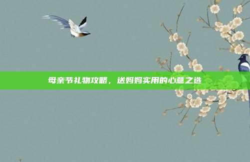 母亲节礼物攻略，送妈妈实用的心意之选