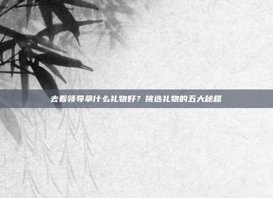 去看领导拿什么礼物好？挑选礼物的五大秘籍