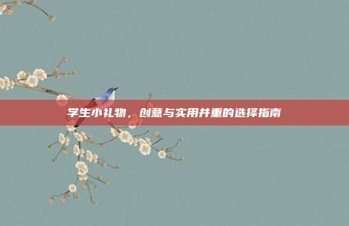 学生小礼物，创意与实用并重的选择指南