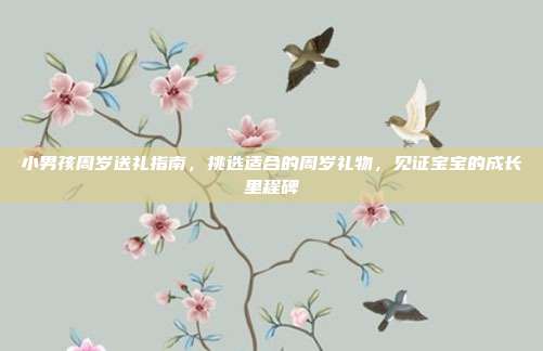 小男孩周岁送礼指南，挑选适合的周岁礼物，见证宝宝的成长里程碑