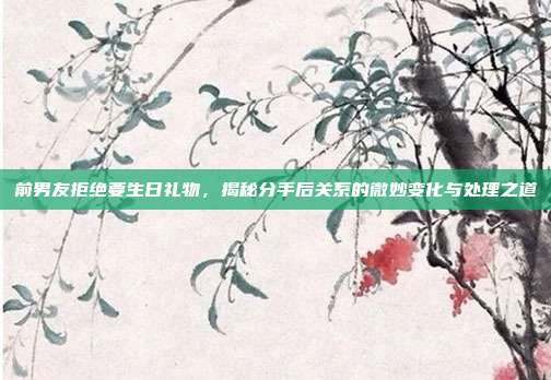 前男友拒绝要生日礼物，揭秘分手后关系的微妙变化与处理之道