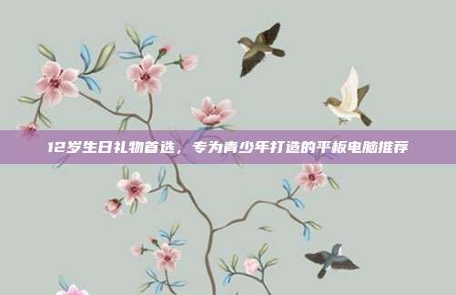 12岁生日礼物首选，专为青少年打造的平板电脑推荐