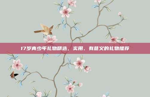 17岁青少年礼物精选，实用、有意义的礼物推荐