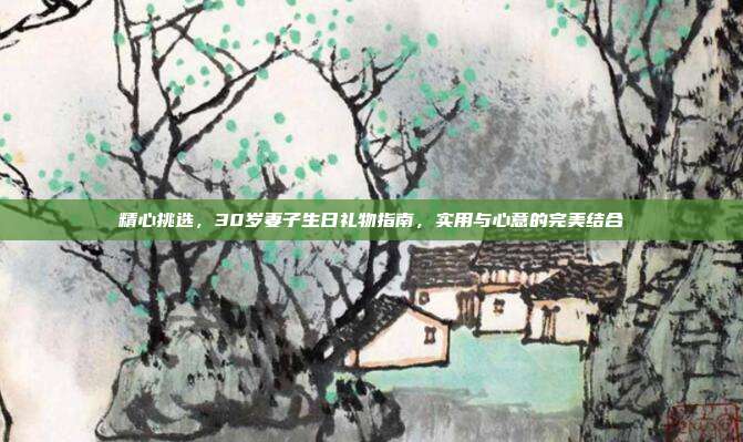 精心挑选，30岁妻子生日礼物指南，实用与心意的完美结合