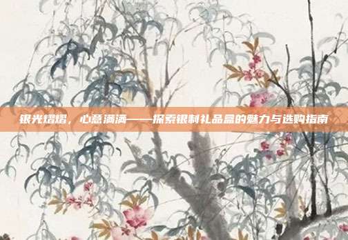 银光熠熠，心意满满——探索银制礼品盒的魅力与选购指南