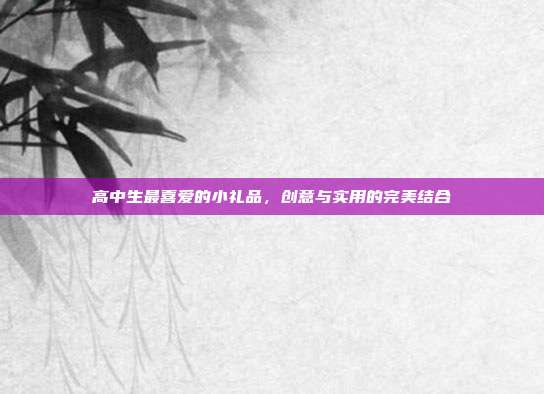 高中生最喜爱的小礼品，创意与实用的完美结合