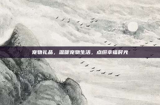 宠物礼品，温暖宠物生活，点缀幸福时光