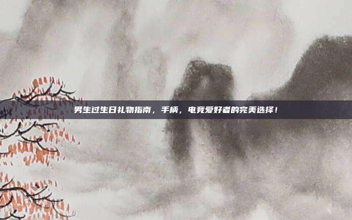 男生过生日礼物指南，手柄，电竞爱好者的完美选择！