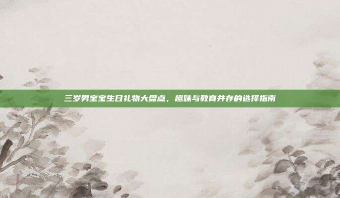 三岁男宝宝生日礼物大盘点，趣味与教育并存的选择指南