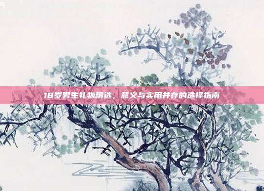 18岁男生礼物精选，意义与实用并存的选择指南