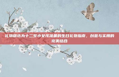 礼物精选为十二岁小女孩准备的生日礼物指南，创意与实用的完美结合