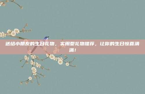 送给小朋友的生日礼物，实用型礼物推荐，让你的生日惊喜满满！