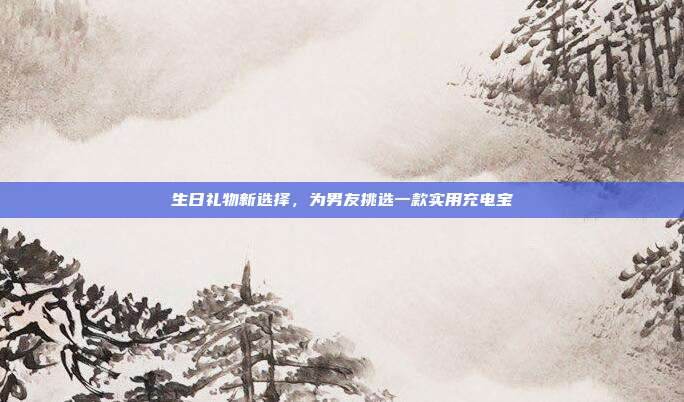 生日礼物新选择，为男友挑选一款实用充电宝