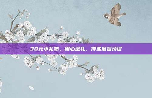 30元小礼物，用心送礼，传递温馨情谊